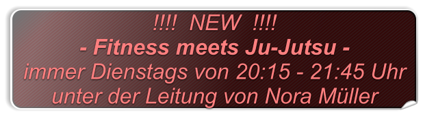 !!!!  NEW  !!!!  - Fitness meets Ju-Jutsu -  immer Dienstags von 20:15 - 21:45 Uhr unter der Leitung von Nora Müller